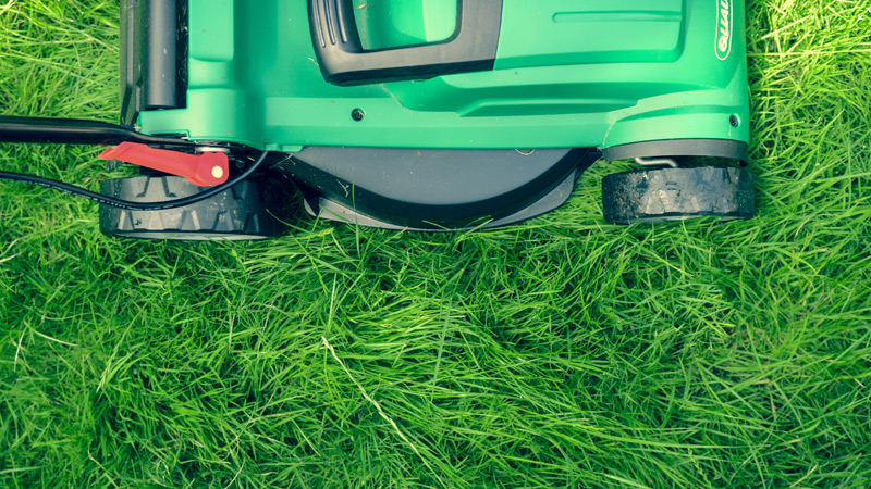 Lawn Mower