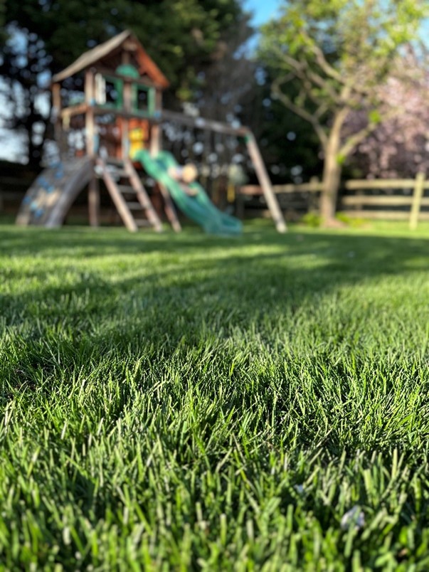 Play Yard