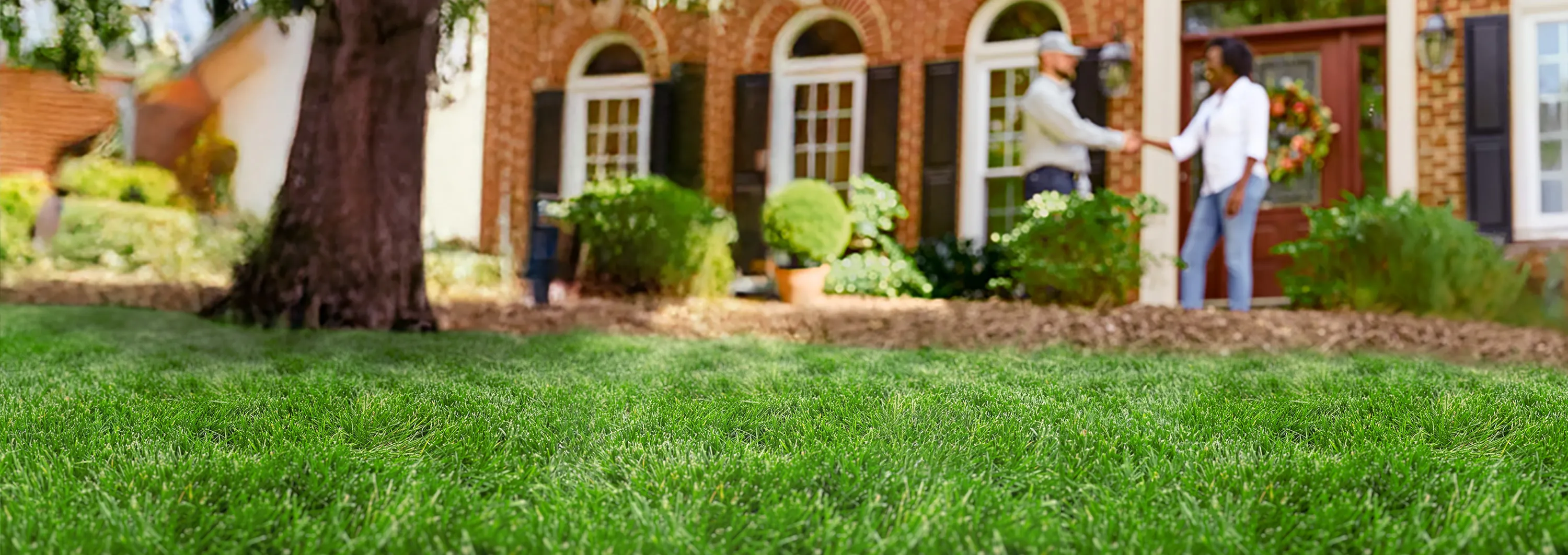 NaturaLawn<sup>&reg;</sup> of America For Safer Lawn Care Naturally<sup>&trade;</sup>
