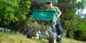 Aeration & Seeding