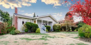 Lawn Diseases