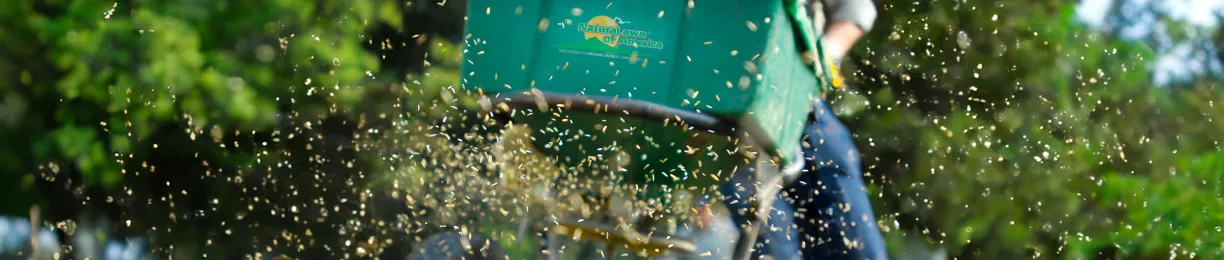 How to Pick Grass Seed &amp; Importance of Reading A Seed Label
