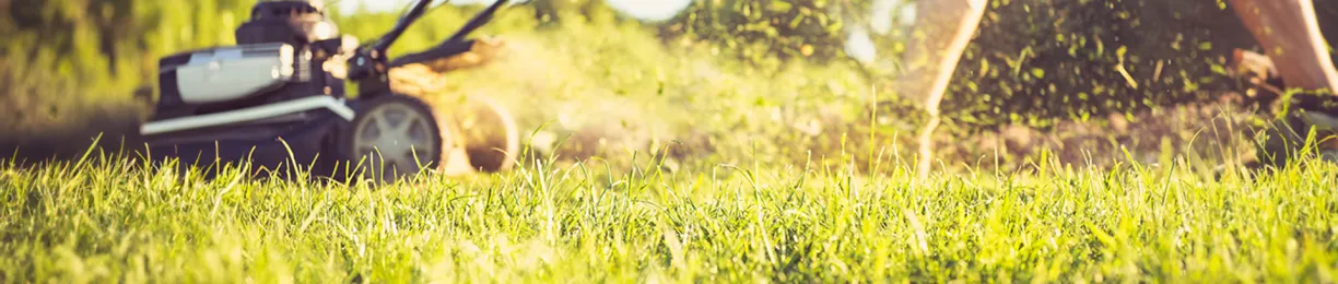 7 Fall Lawn Care Tips

