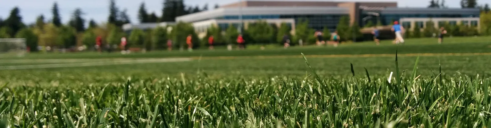 Athletic field maintenance service - Sports field maintenance